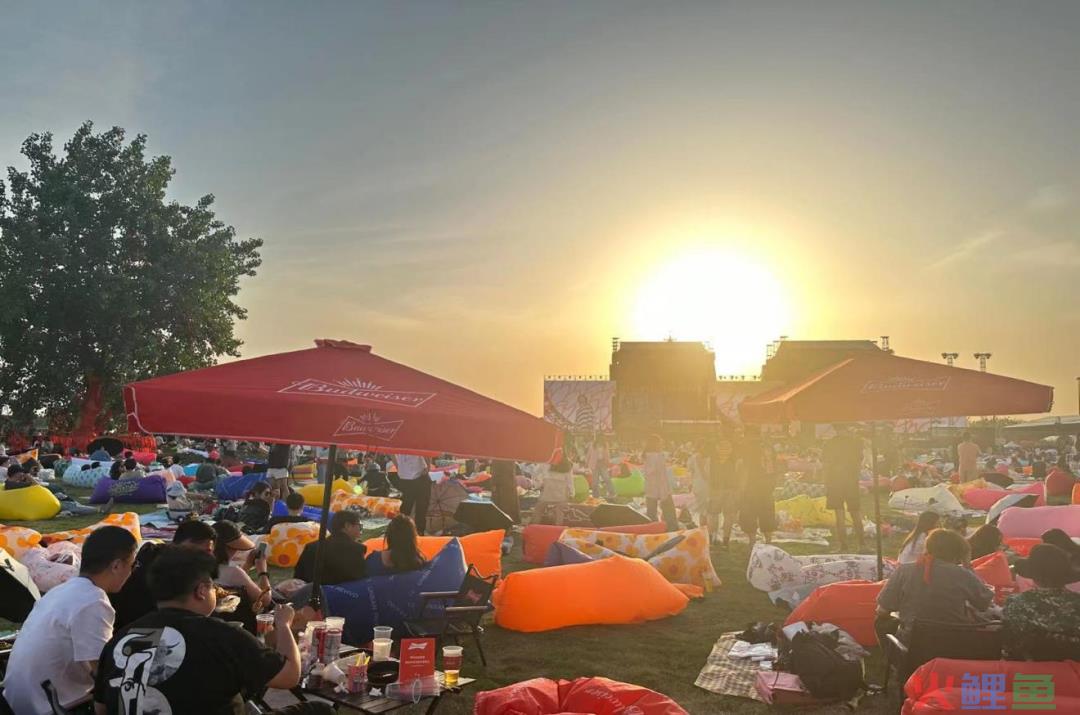 5天6亿票房、啤酒等品牌入局，今年五一“音乐节”杀疯了？