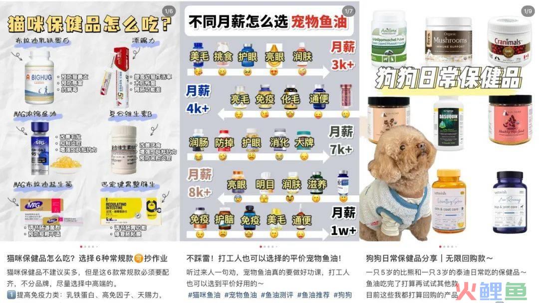 宠物保健品，必备的“第四餐”还是难躲的“智商税”？