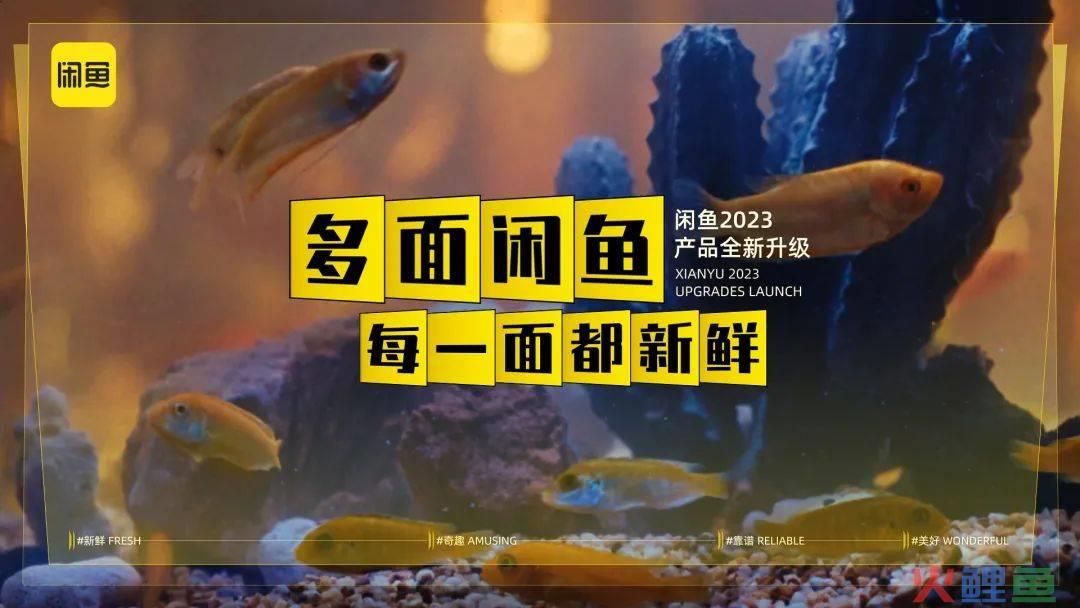 一周案例 | 闲鱼“海鲜市场”真来了?白象香菜方便面“真香”......