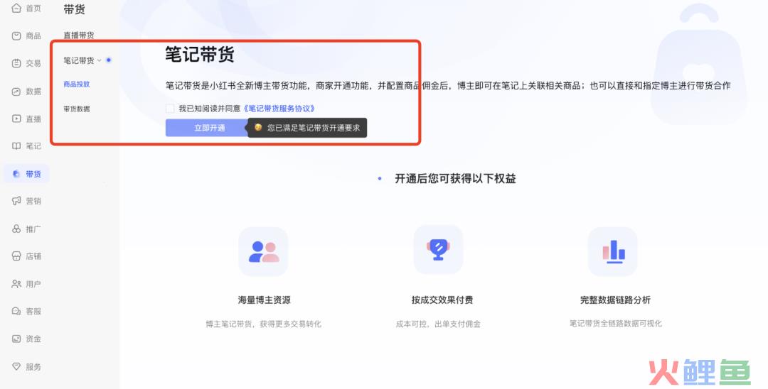 小红书最近的 5 个大动作