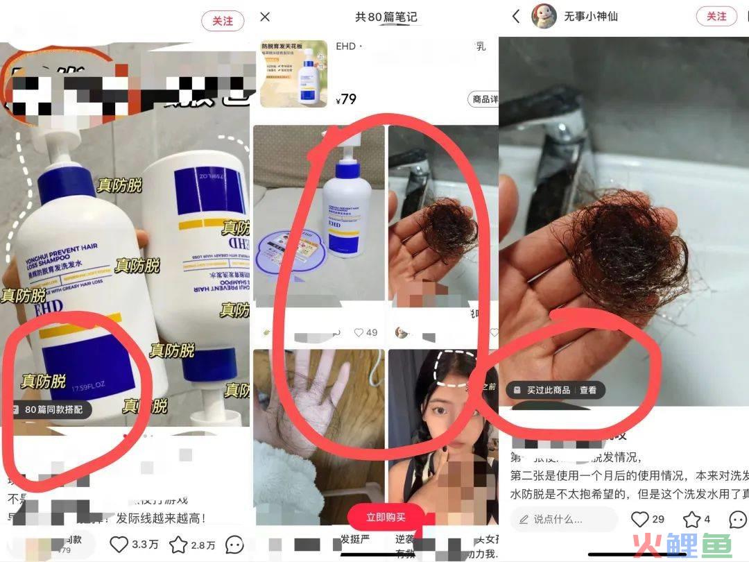 小红书最近的 5 个大动作
