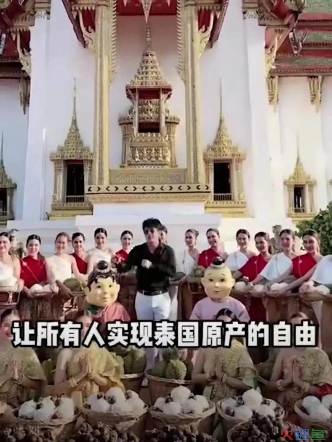 “榴莲盲盒”上热搜，榴莲为什么越卖越贵？