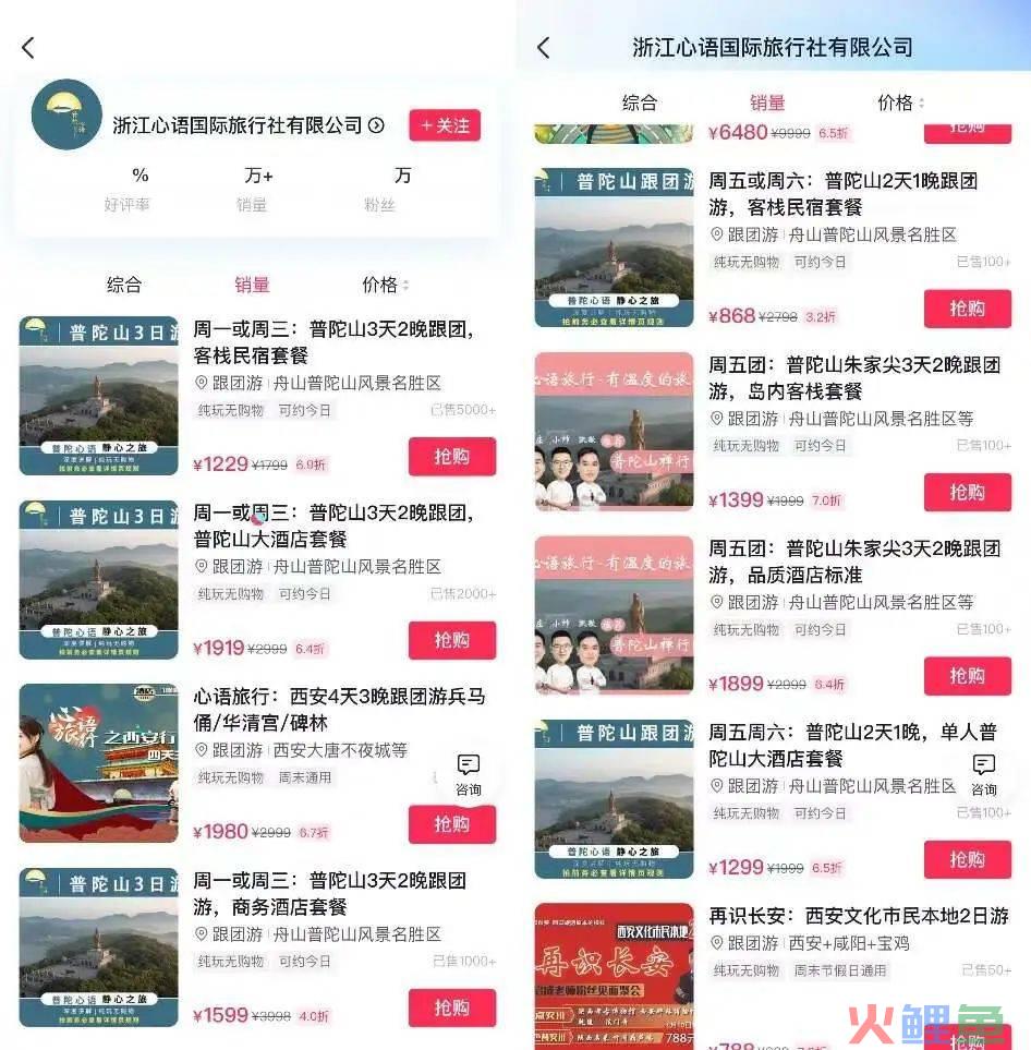 抖音吸粉500万,线下万人成团,这届导游在玩一种很新的旅行社
