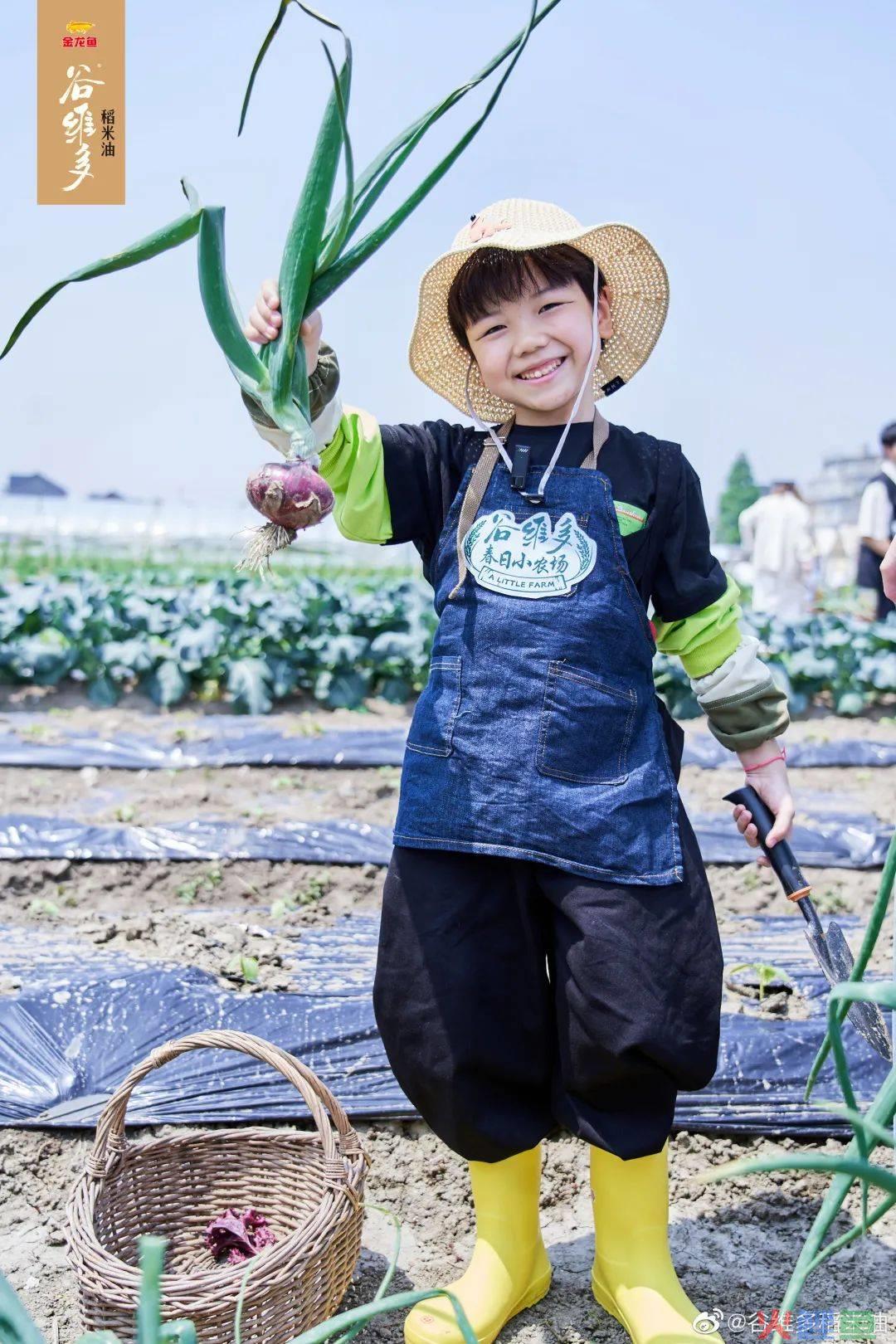 谷维多的春日小农场,藏着孩子最“自然”的童年