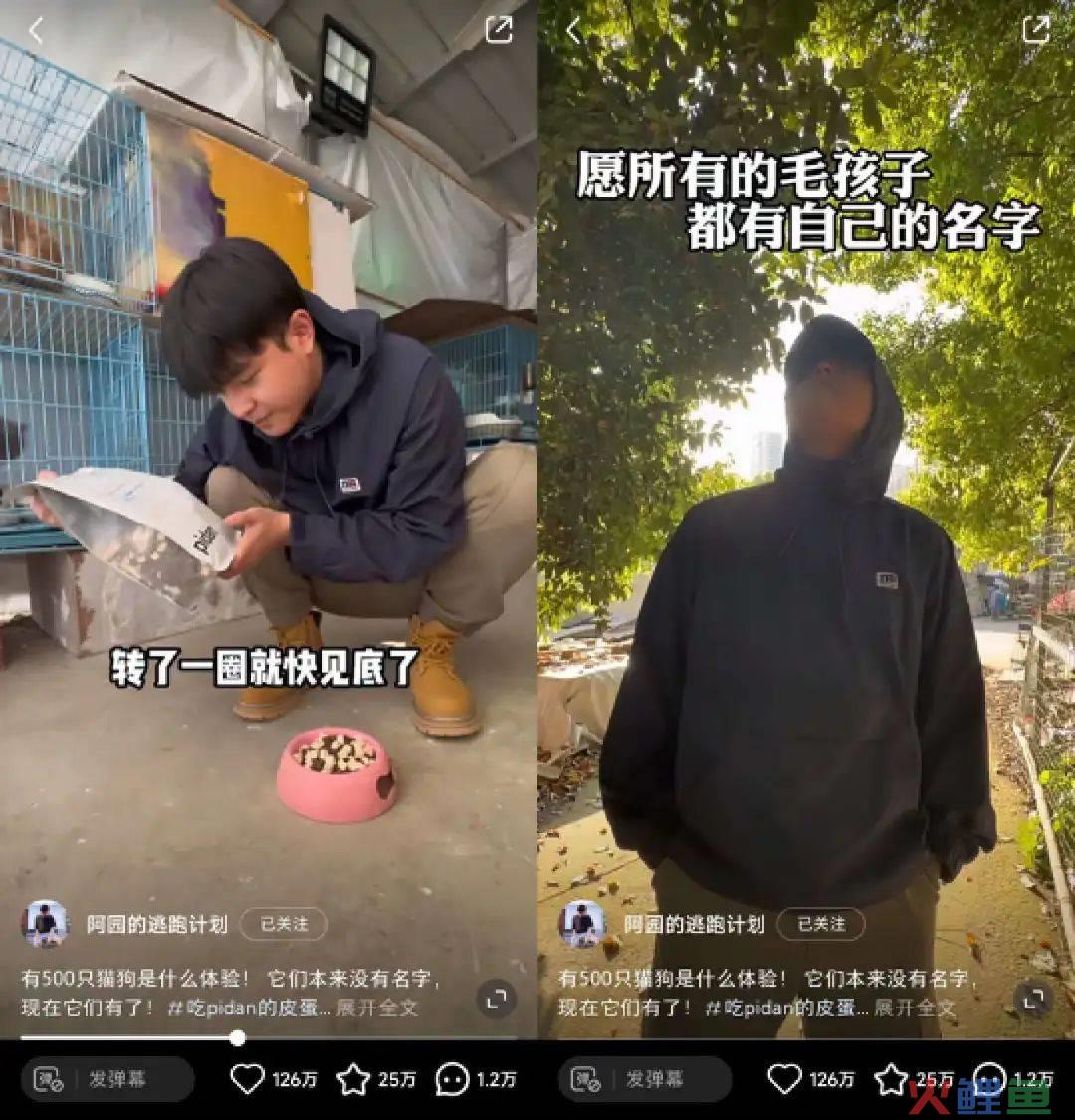 盘完最舍得在小红书花钱的100个品牌，我得出了3点结论