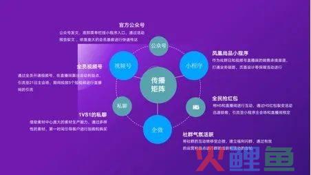 独家：报喜鸟开始布局私域3.0