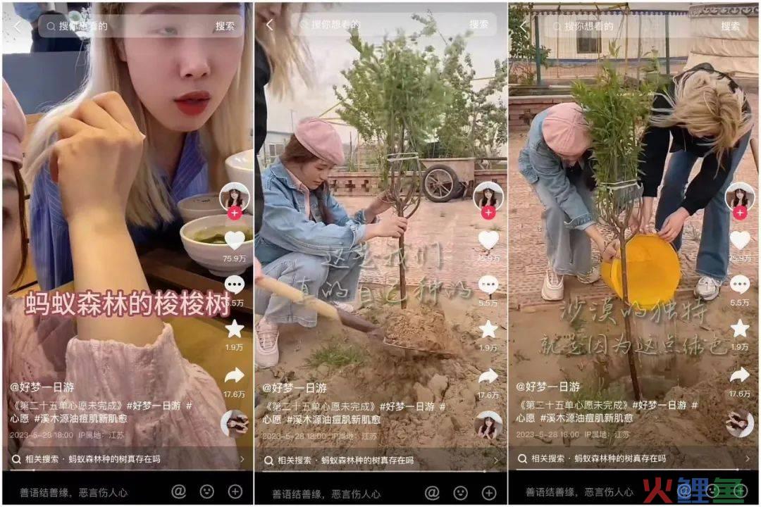 和100个陌生人做100件事，&ldquo;开盲盒&rdquo;开出238万粉丝