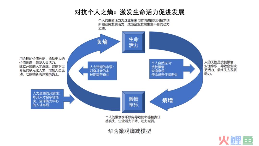4600字,说明白什么是 「熵增定律」:它被华为、亚马逊引用,让无数人一朝顿悟!