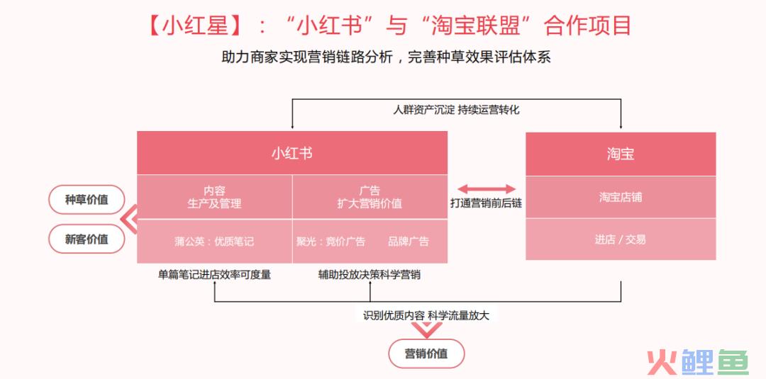 小红星是否值得投入？当平台众多的时候，小红星可以跟踪导流天猫的流量吗?
