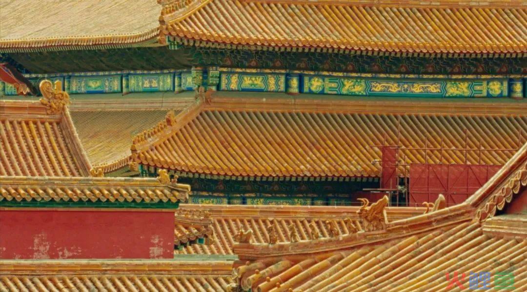故宫的多巴胺之美，被伊利拍出来了