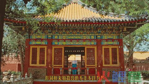 故宫的多巴胺之美，被伊利拍出来了