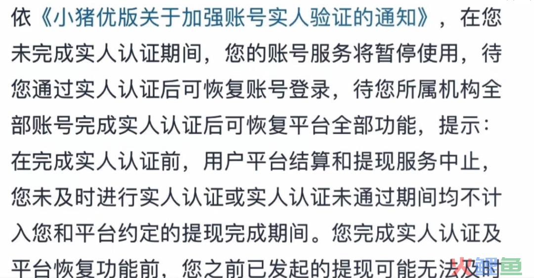 上万短视频剪辑创作者原地失业！版权平台小猪优版被传“暴雷”