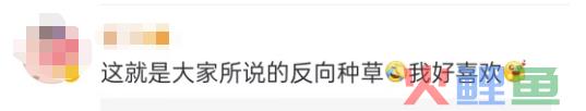 LV蟑螂包，吓哭广东人