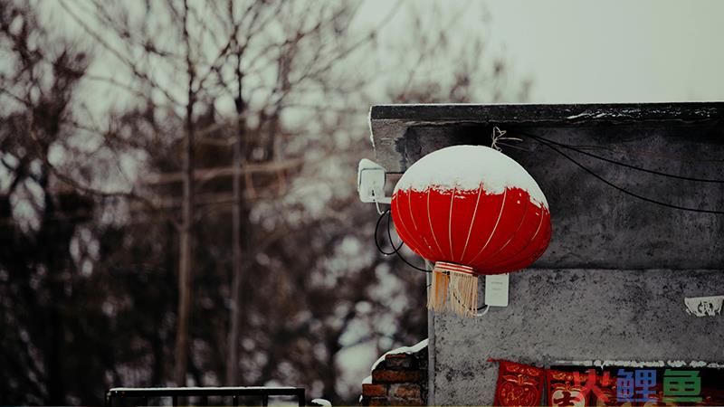 雪容融上班了！它能否复制冰墩墩的出圈逻辑成为顶流IP？
