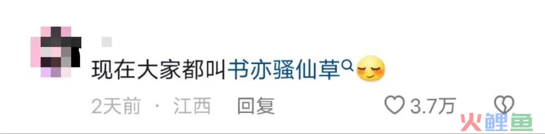 猛男诱惑？书亦和望山楂搞起商战了