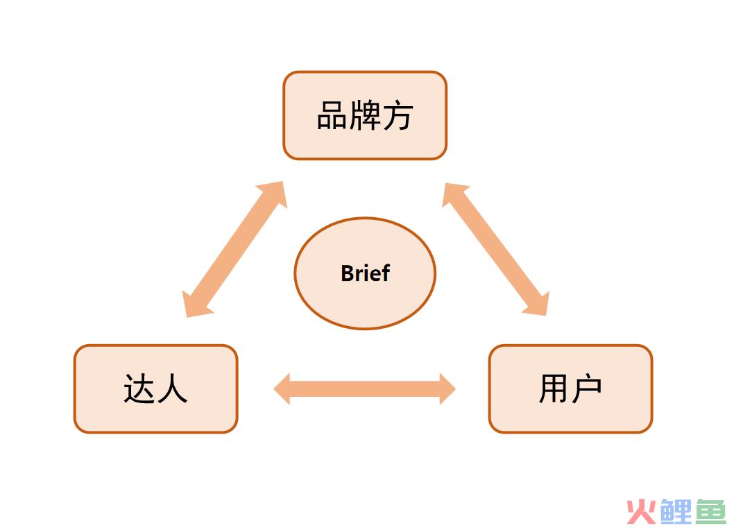 小红书Brief到底该咋写？