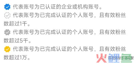 新手小白上手视频号，看这一篇就够了（全实操版介绍）