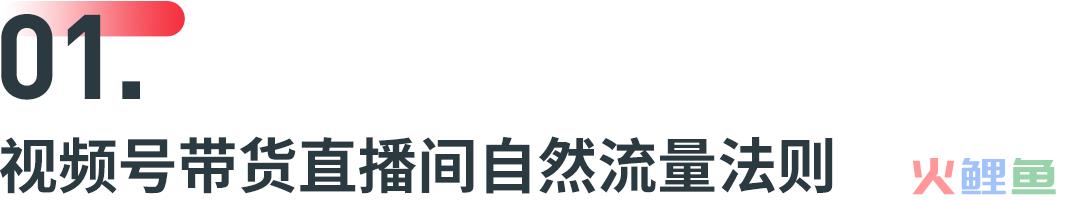 视频号官方自曝算法，揭秘从0到1快速起量技巧