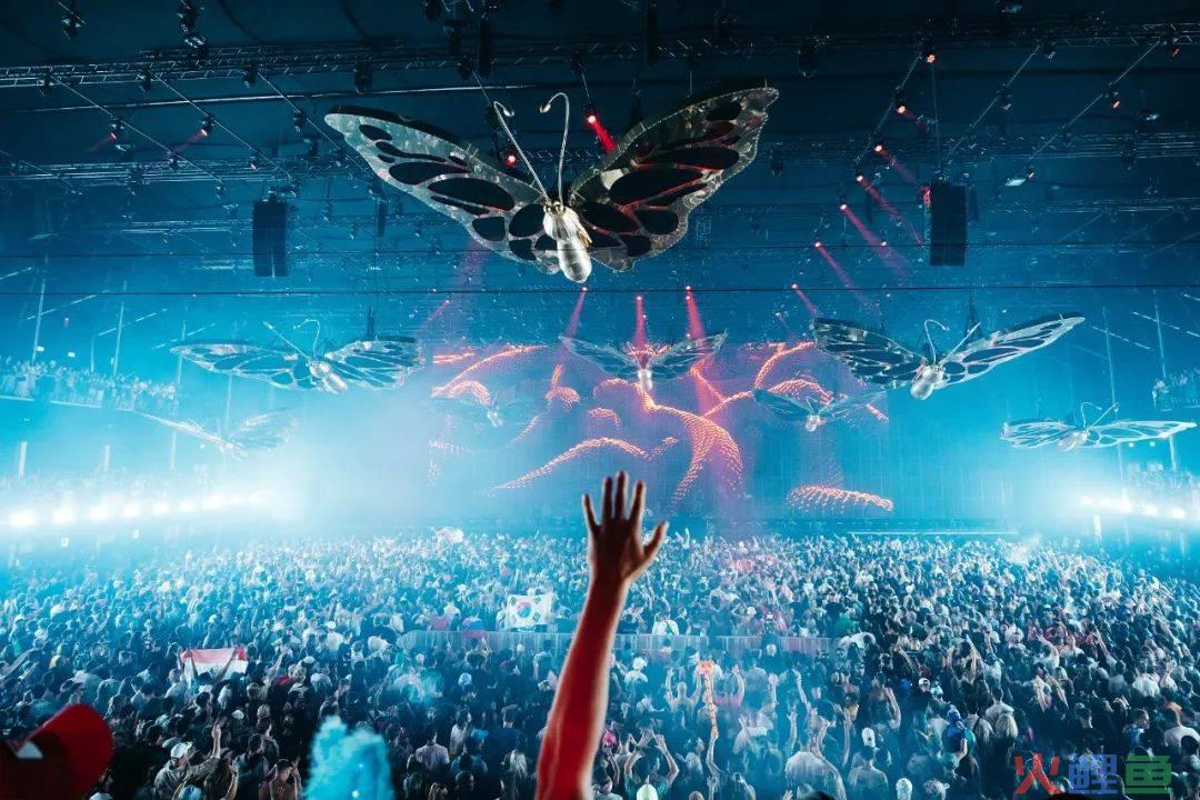 百威 x Tomorrowland，用最in的电音节撬动年轻圈层