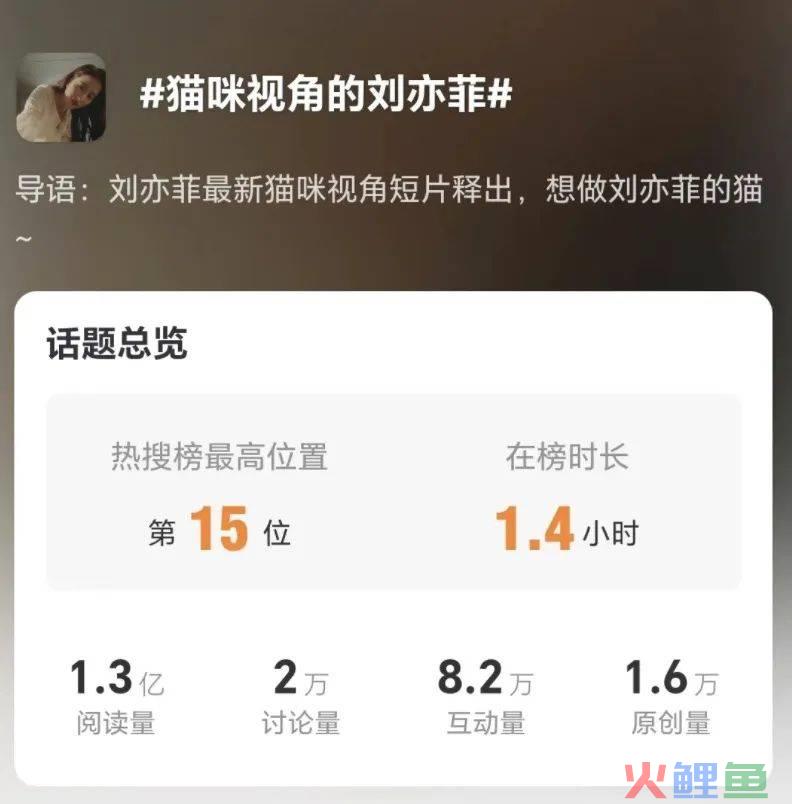 看完美团外卖和刘亦菲的新广告，想点外卖了