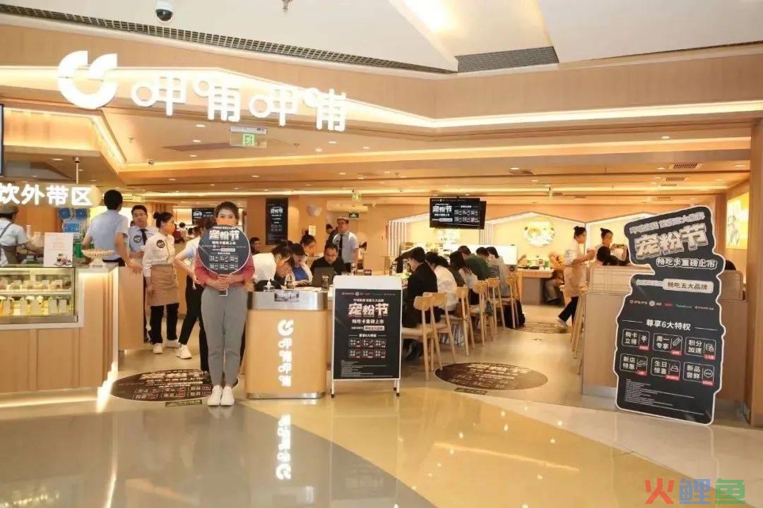 餐饮回暖,呷哺“翻盘”