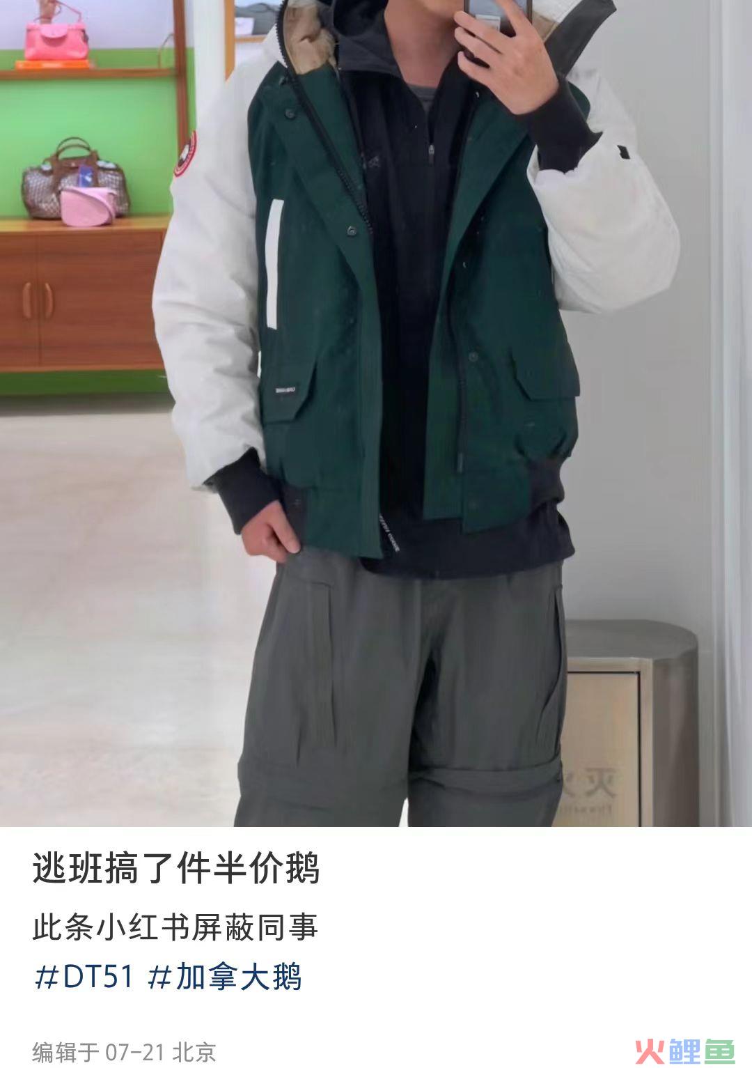 七月疯抢加拿大鹅，跟不要钱似的