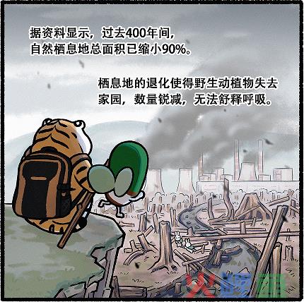辅舒良#地球呼吸计划# x中国绿化基金会再牵手，共同修复辽东山区红松生态林