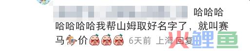 内涵山姆，盒马“移山价”彻底杀疯了...