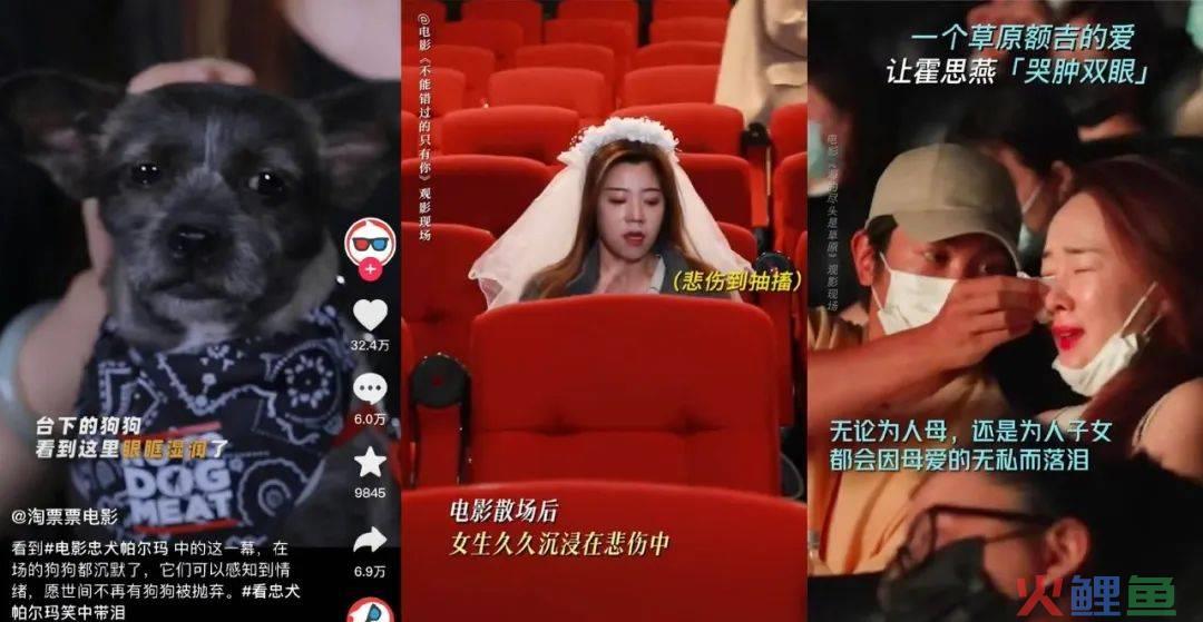 电影营销，不是孤注一掷
