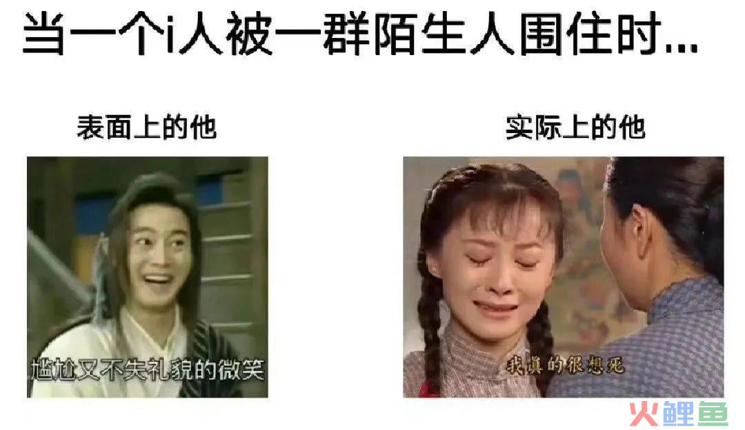 浏览量猛增42倍，“MBTI”在小红书爆火