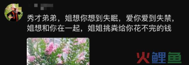 “秀才” “一笑倾城”一夜爆红，农村老人砸上全部家当