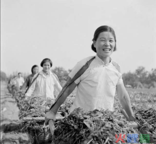 “秀才” “一笑倾城”一夜爆红，农村老人砸上全部家当