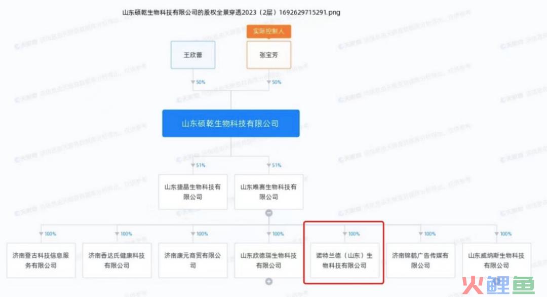 疯狂的青汁：揭秘广东夫妇背后的资本局中局