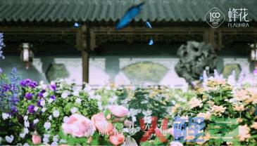 品牌升级怎么做？蜂花以一场「视觉」+「嗅觉」盛宴惊艳破局