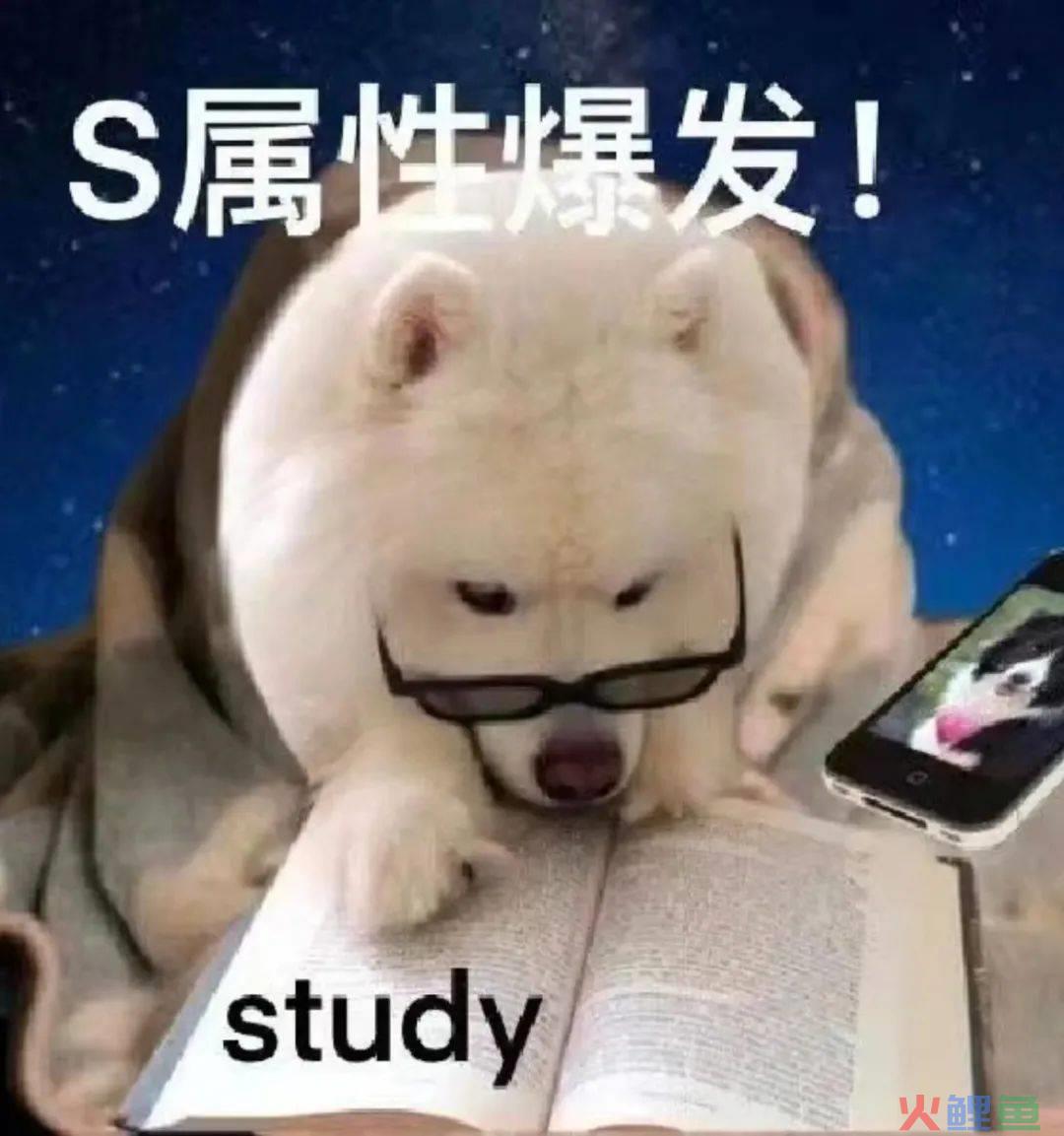 小红书爆火的马路诗，文案句句惊艳！
