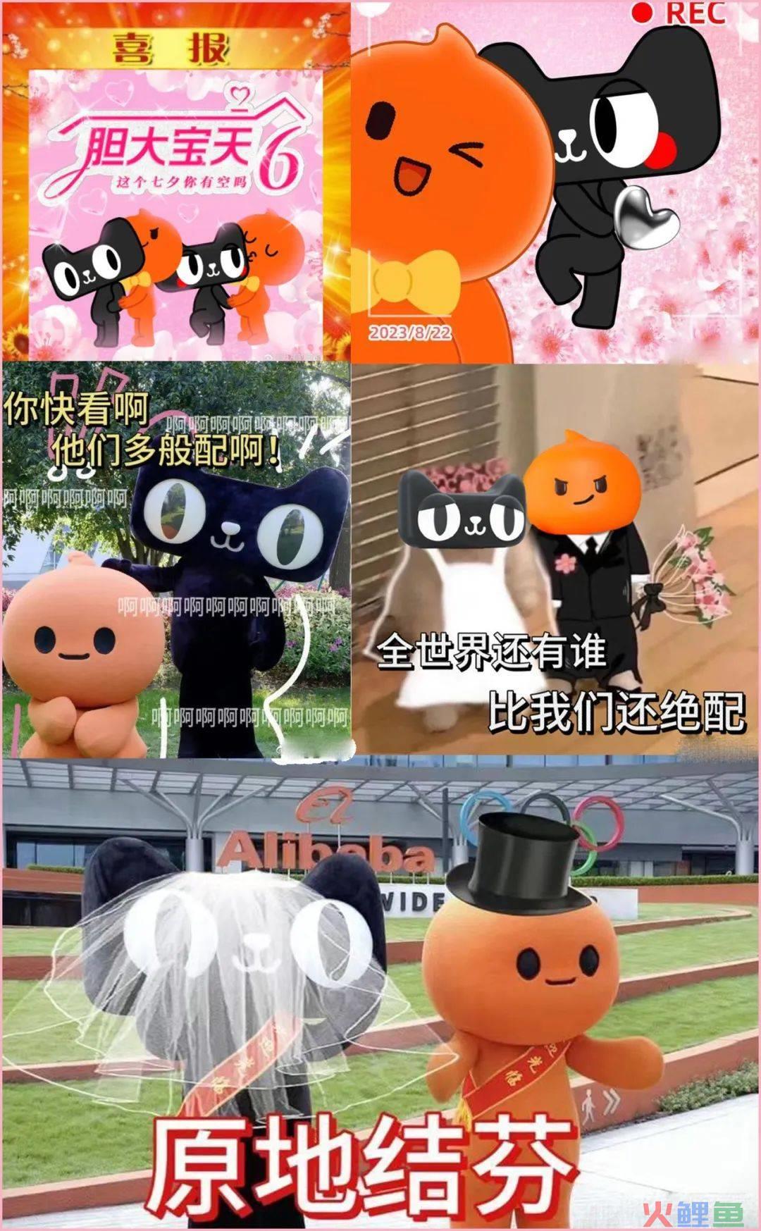 淘宝X天猫「胆大宝天」CP官宣，网友：份子钱记我账上