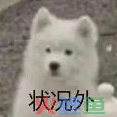 “秀才” “一笑倾城”一夜爆红，农村老人砸上全部家当