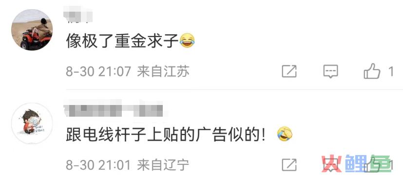 椰树招聘又火了！网友：缅北看到都自愧不如​