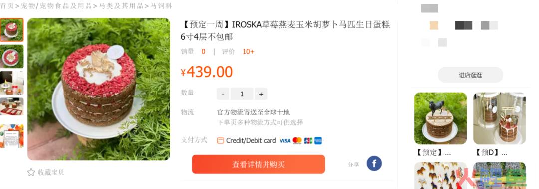 异宠,一场年轻人的单向奔赴