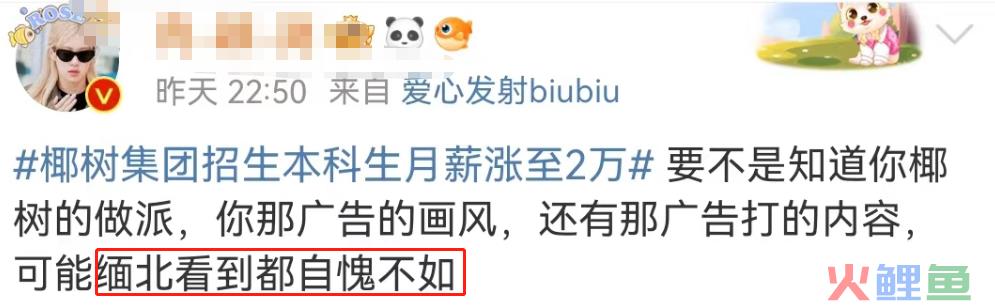 椰树招聘又火了！网友：缅北看到都自愧不如​