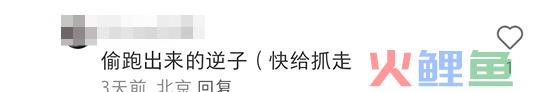 蜜雪冰城“私生子”曝光!网友:雪王塌房了