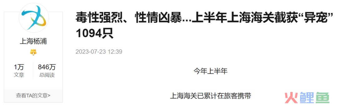 异宠,一场年轻人的单向奔赴