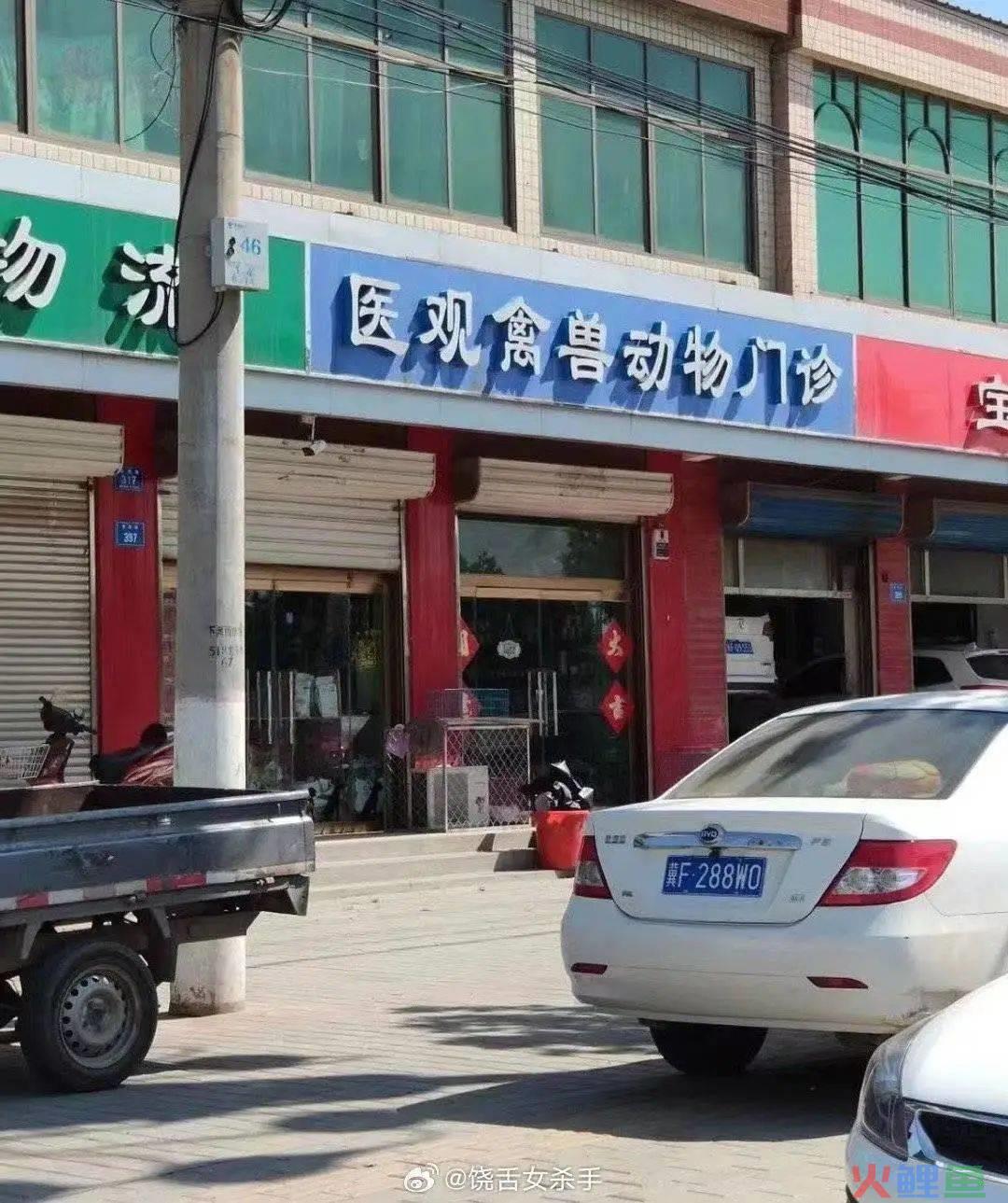 “笨手笨脚搬家公司”爆火，创意被网友笑上热搜
