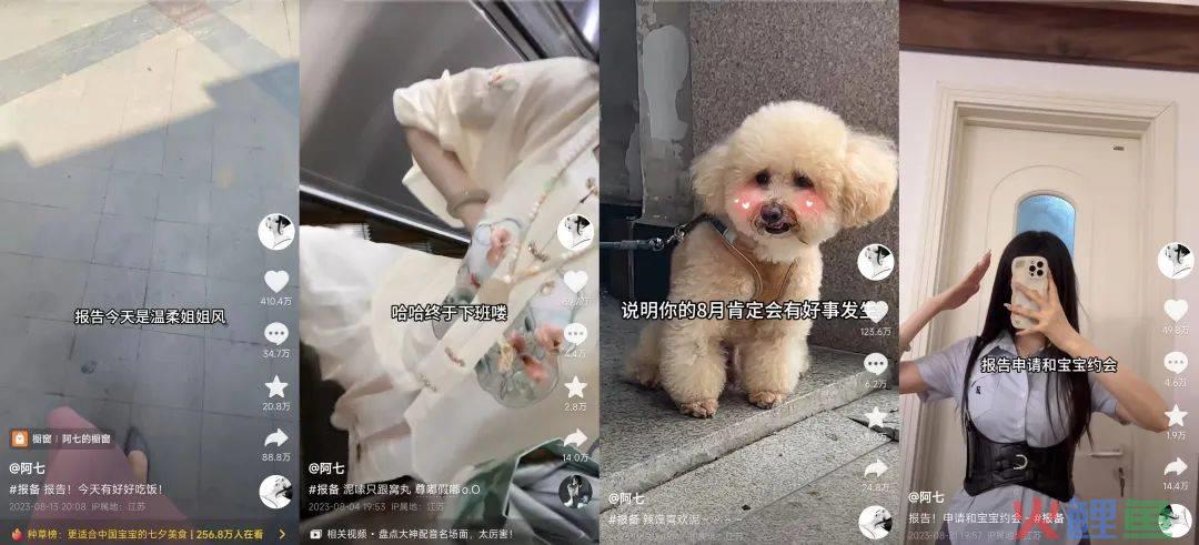 30天涨粉221万，这届年轻人争做赛博舔狗