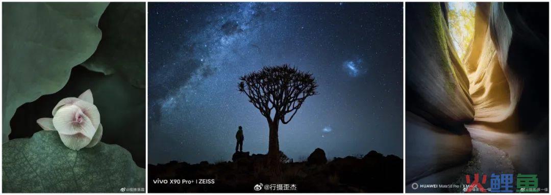 透视“微博手机影像年”，移动影像打响二番战