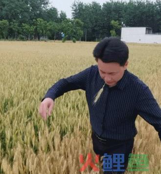 千万粉丝的秀才被封号，网红们学点危机公关知识吧