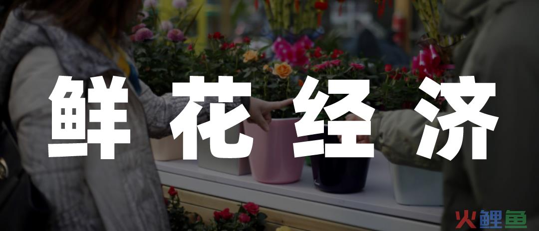 即时零售崛起，鲜花经济蓄势再进化
