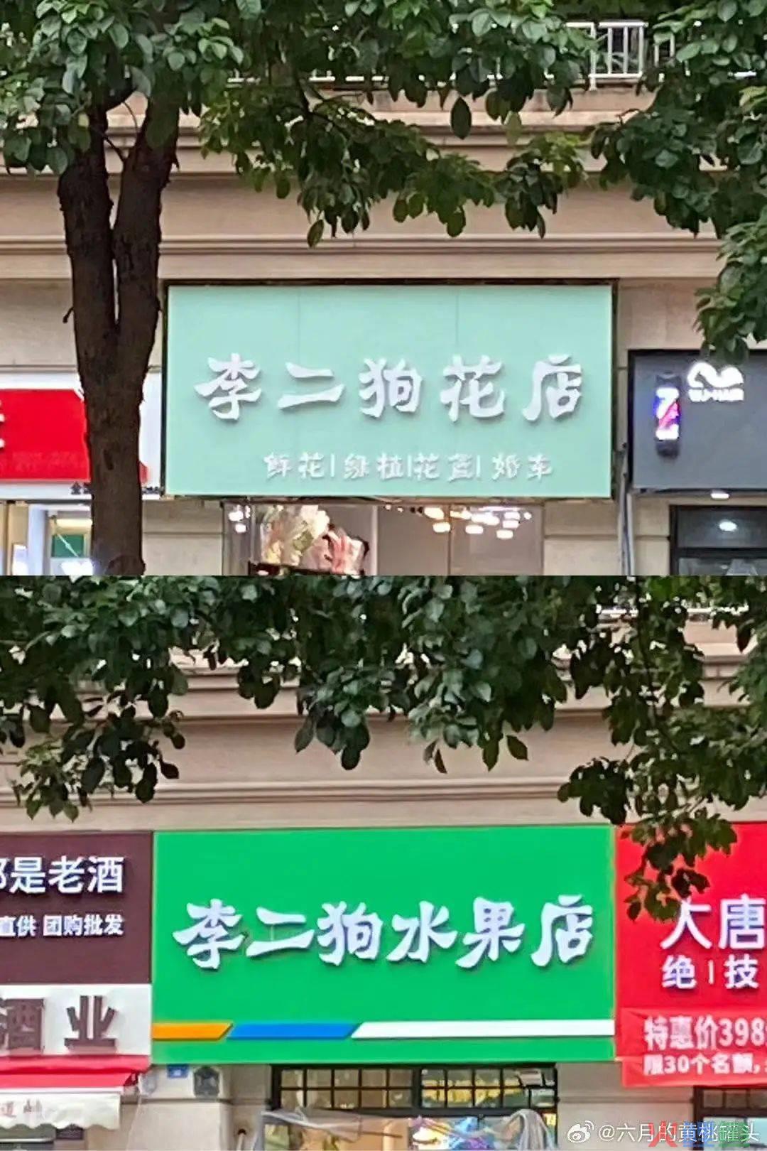 “笨手笨脚搬家公司”爆火，创意被网友笑上热搜