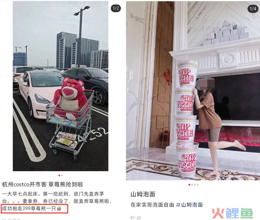 杭州“绑架式”疯抢草莓熊，山姆傻眼了！