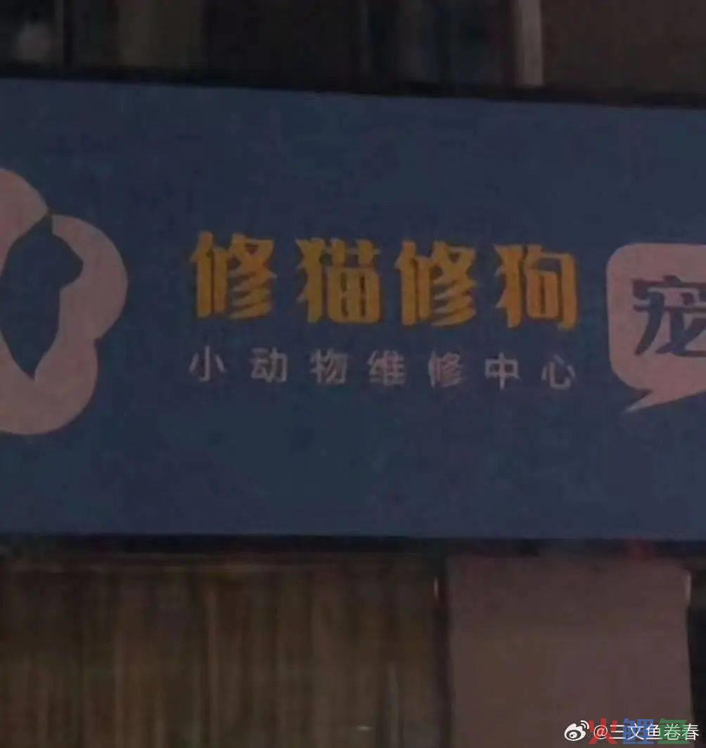 “笨手笨脚搬家公司”爆火，创意被网友笑上热搜